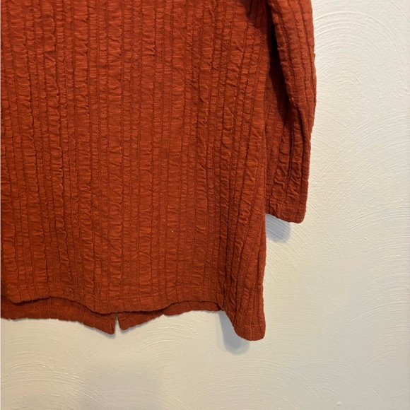 Soft Surroundings Rust Textured Blouse - Picture 7 of 8